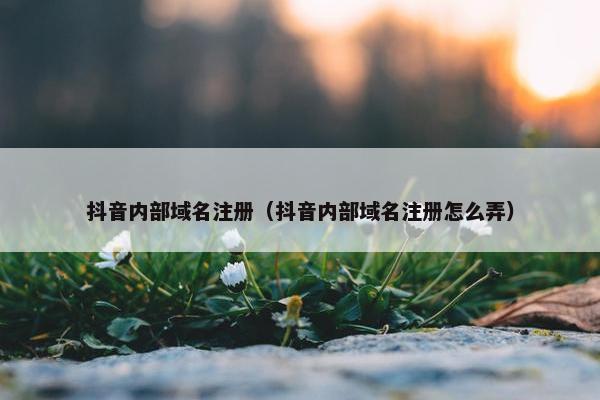 抖音内部域名注册（抖音内部域名注册怎么弄）