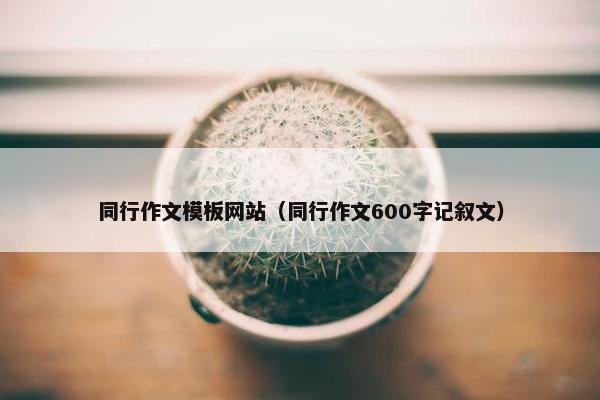 同行作文模板网站（同行作文600字记叙文）
