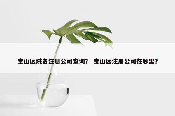 宝山区域名注册公司查询？ 宝山区注册公司在哪里？