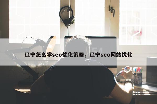 辽宁怎么学seo优化策略，辽宁seo网站优化