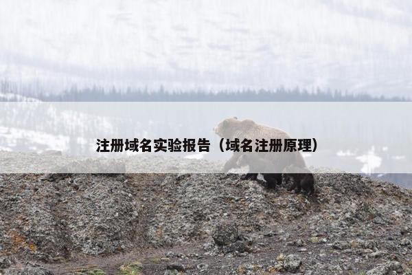 注册域名实验报告（域名注册原理）