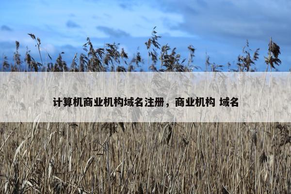 计算机商业机构域名注册，商业机构 域名