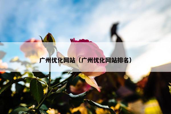 广州优化网站（广州优化网站排名）