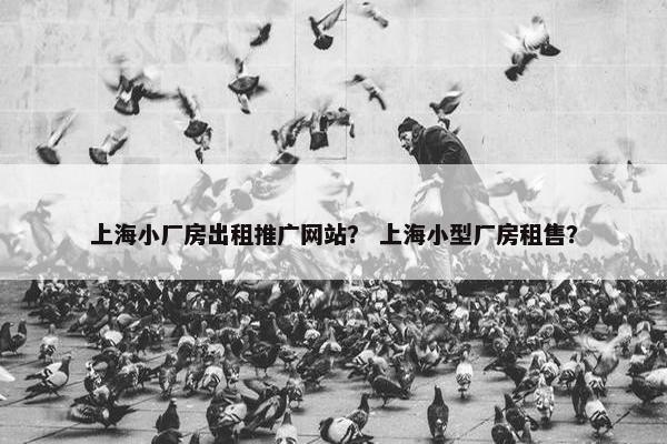 上海小厂房出租推广网站？ 上海小型厂房租售？