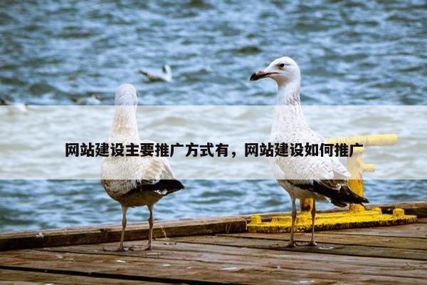 网站建设主要推广方式有，网站建设如何推广