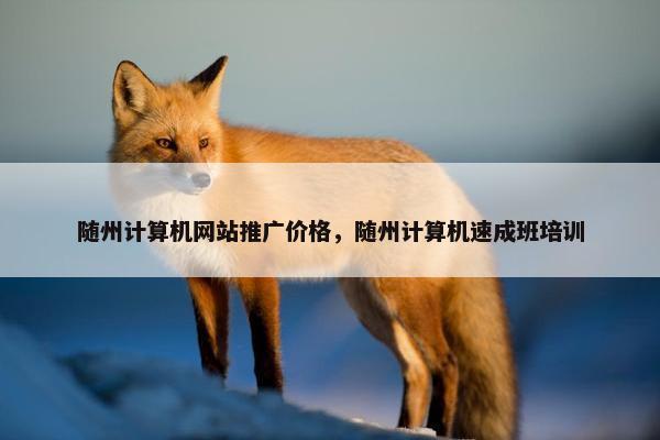 随州计算机网站推广价格，随州计算机速成班培训