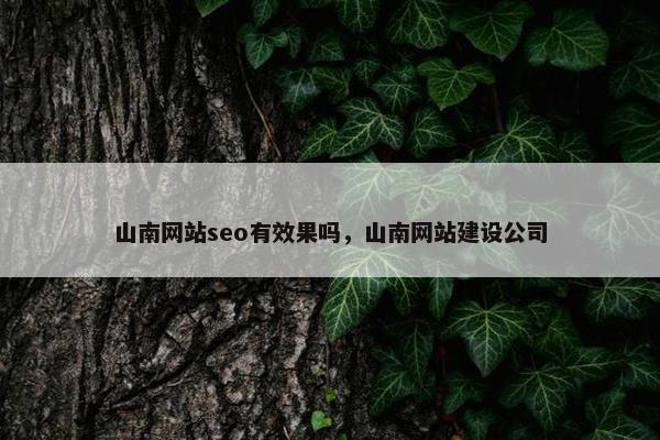 山南网站seo有效果吗，山南网站建设公司