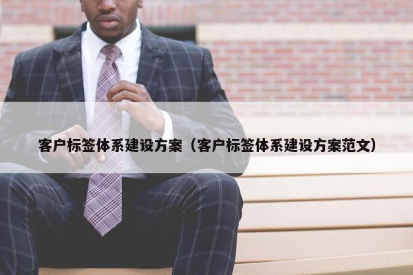 客户标签体系建设方案（客户标签体系建设方案范文）