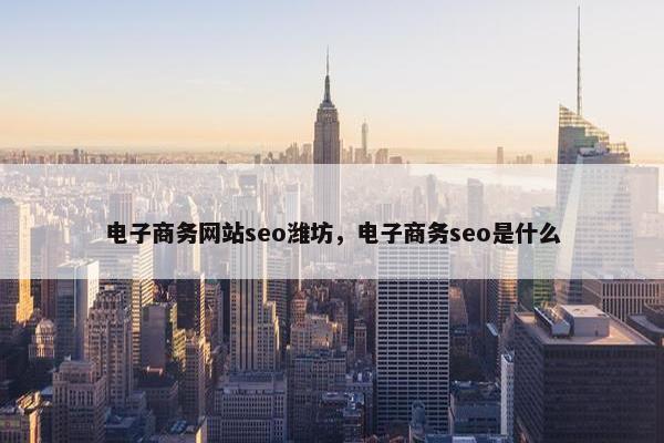 电子商务网站seo潍坊，电子商务seo是什么