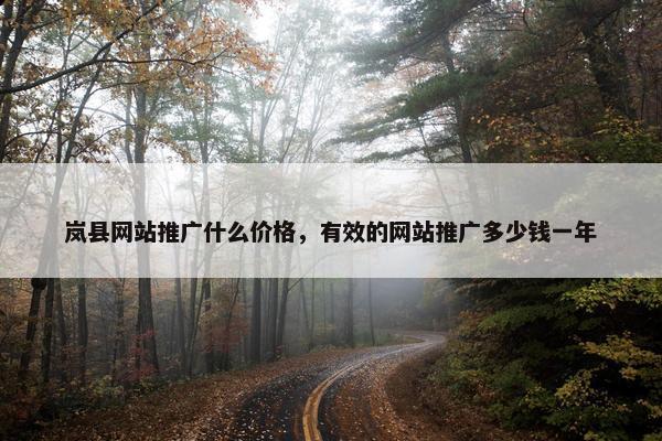 岚县网站推广什么价格，有效的网站推广多少钱一年