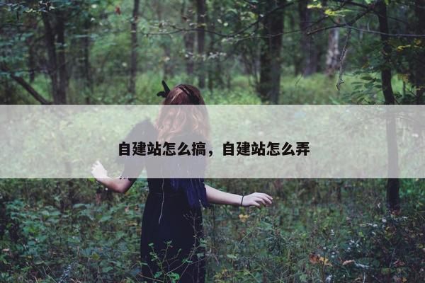 自建站怎么搞，自建站怎么弄