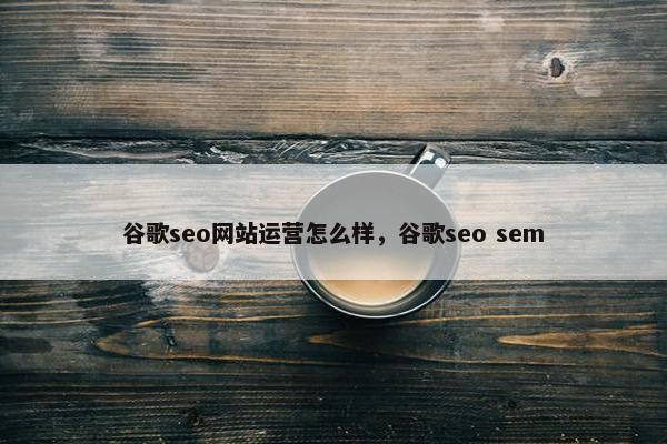 谷歌seo网站运营怎么样，谷歌seo sem