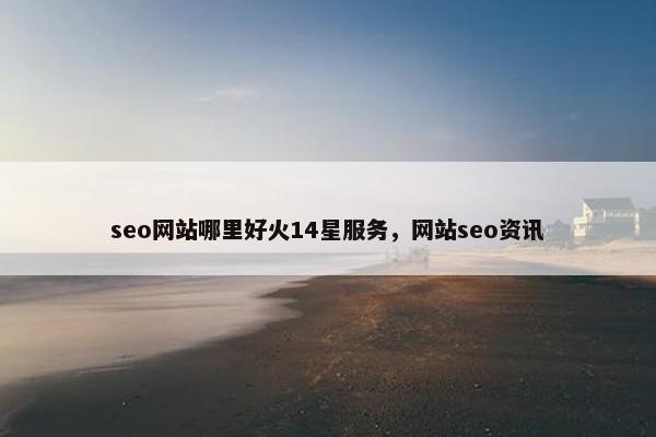 seo网站哪里好火14星服务，网站seo资讯