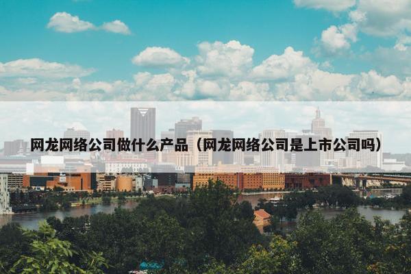 网龙网络公司做什么产品（网龙网络公司是上市公司吗）