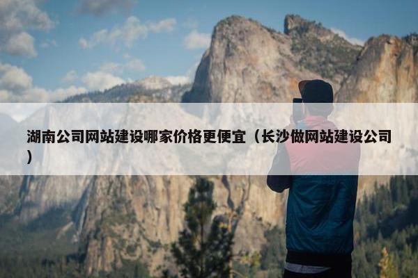 湖南公司网站建设哪家价格更便宜（长沙做网站建设公司）
